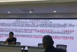 深圳龙华最新爆料,揭秘区域发展新动向与未来潜力