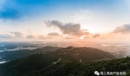 深圳周小姐最新爆料电话,揭秘电话背后的惊人真相