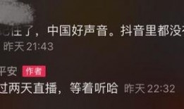 歌手平安最新爆料歌曲,穿越时空的旋律，唤醒沉睡的回忆