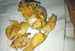 鸡的最新爆料,揭秘最新鸡类爆料背后的秘密