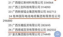 新区开放时间最新爆料,揭秘最新爆料，共赴未来繁华盛宴”