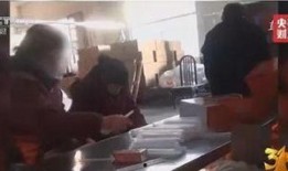 视频爆料食品怎么处罚最新,最新处罚措施全解析