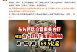 文泽园最新爆料新闻报道,最新热点事件深度解析