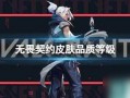 无谓契约最新皮肤爆料,神秘力量觉醒，视觉盛宴即将开启